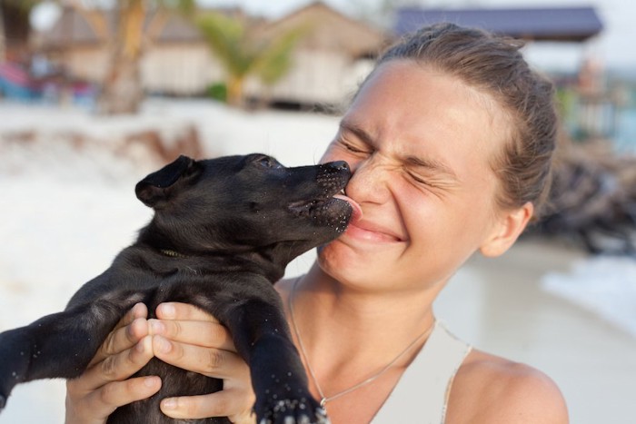 女性にキスする黒い子犬