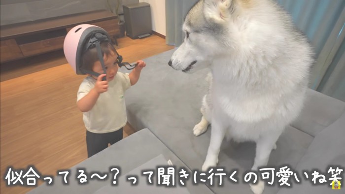 「なにがはじまるの…？」