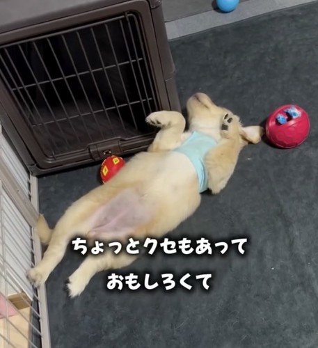 のびのびと成長
