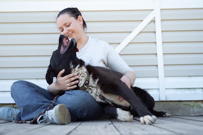 座った女性の膝に乗る犬