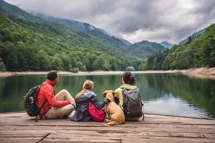 犬と一緒に旅する家族