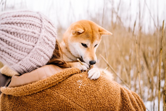 犬の抱き散歩