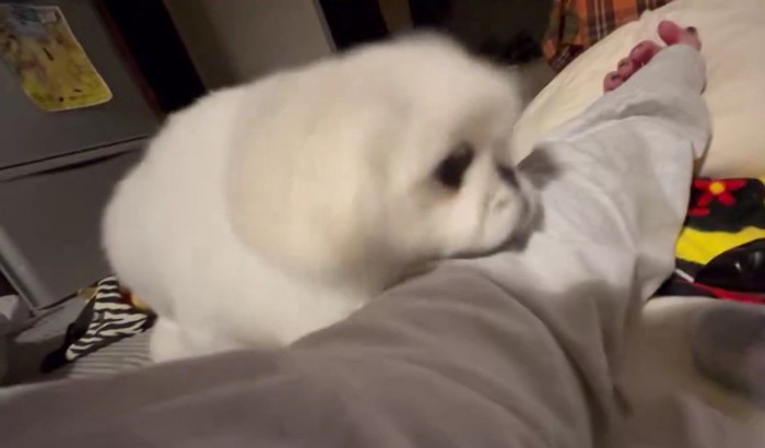 元気をもらえたかも!?