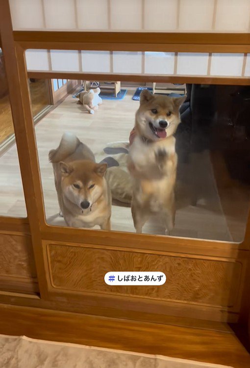 それぞれのやり方で熱烈歓迎♪