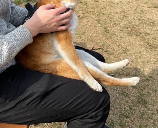中に人