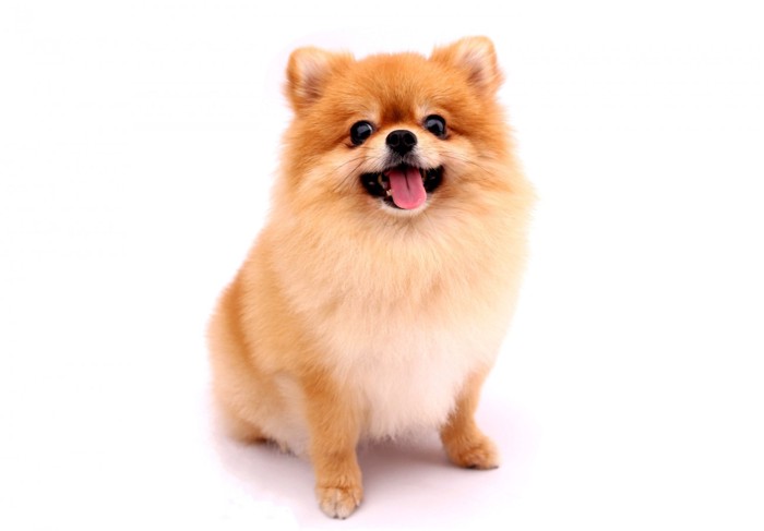 ：