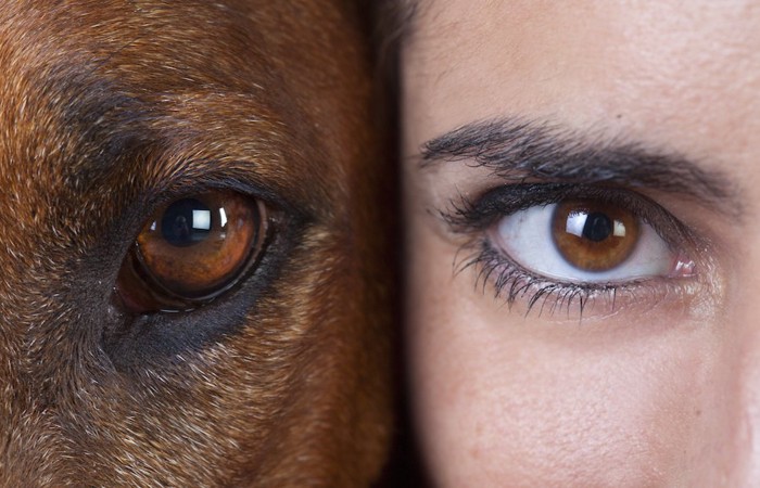 犬と女性の瞳アップ