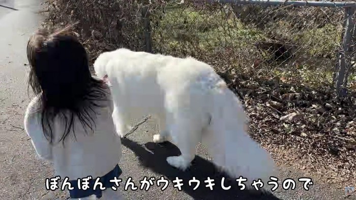 ぼんぼんちゃんがはしゃいじゃって…