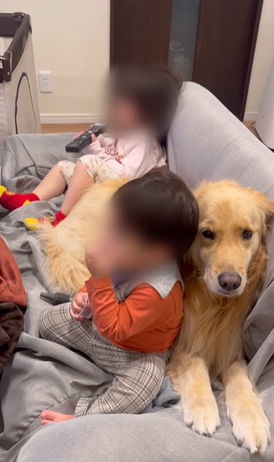 子供と大型犬