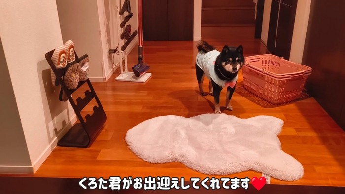玄関でお出迎え