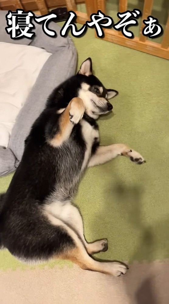 明らかに不満そう!