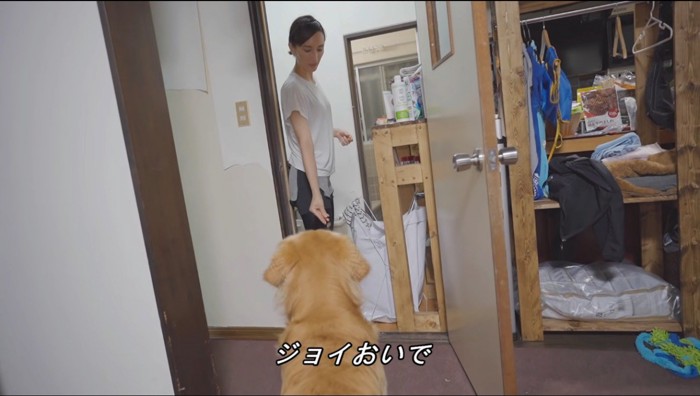 女性に呼ばれて近寄る犬