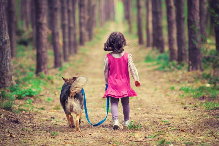散歩、犬と少女の後ろ姿