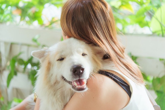 女性に抱きしめられて嬉しそうな犬