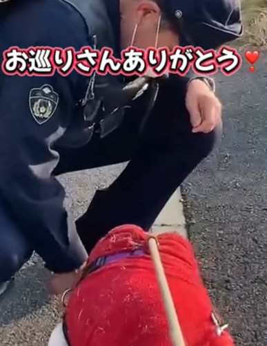 おやつを食べる犬