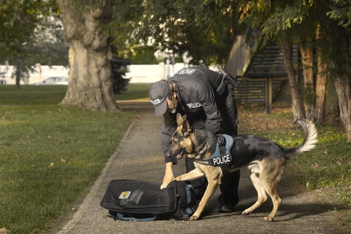 警察犬