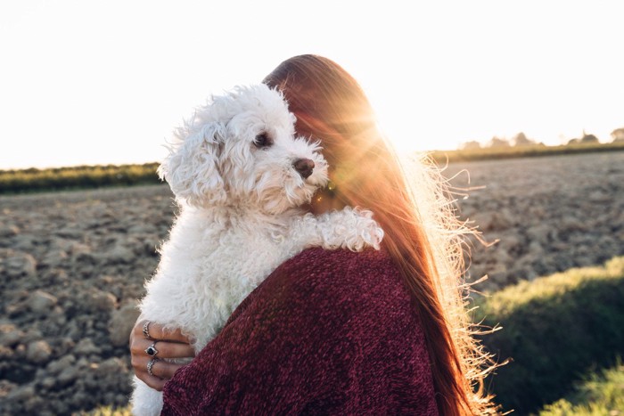 女性にハグされている犬