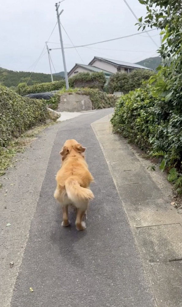 水筒を取りにいく