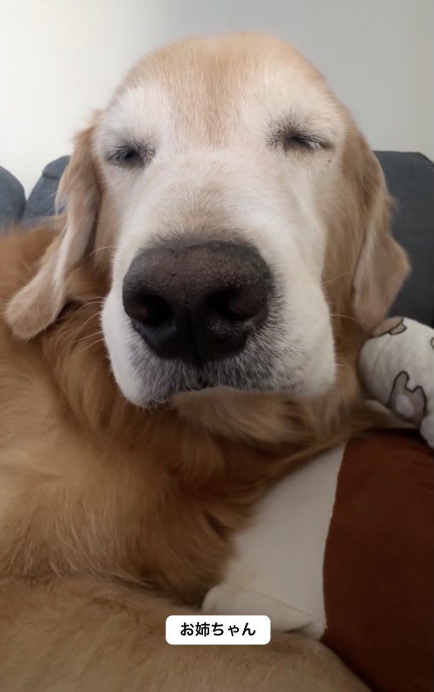 激しい表情の落差