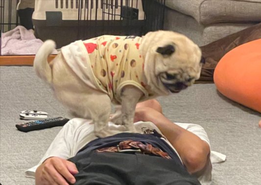 クセ強