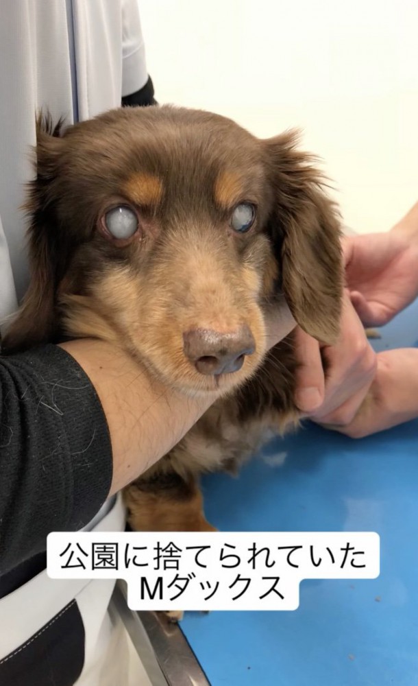 つらすぎる過去