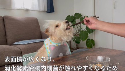 国産のひきわり納豆！！