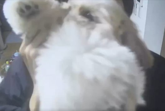 声とのギャップ