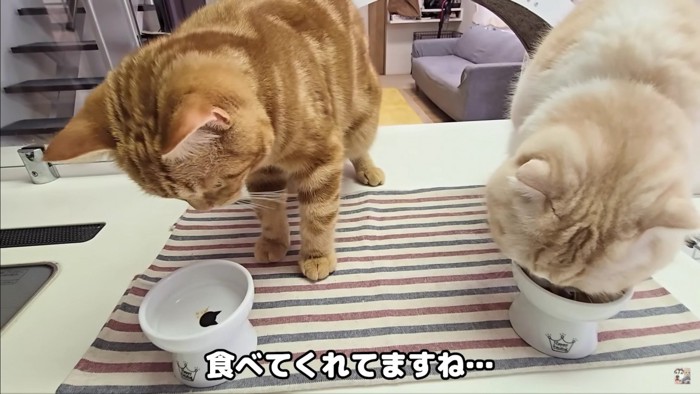 おやつは焼き芋！