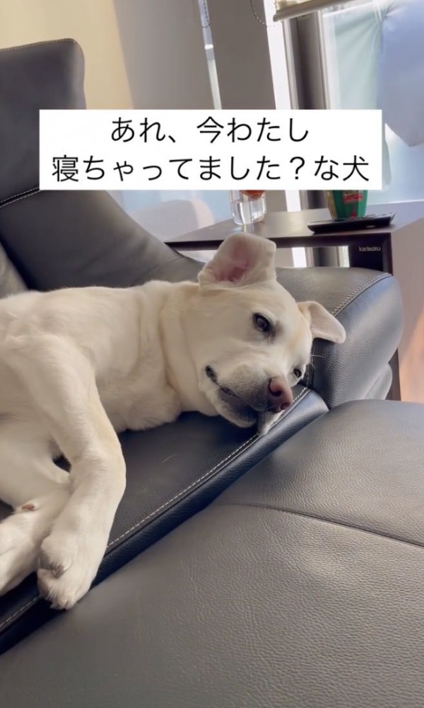 平和です