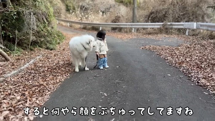 シュシュちゃんも立ち止まる