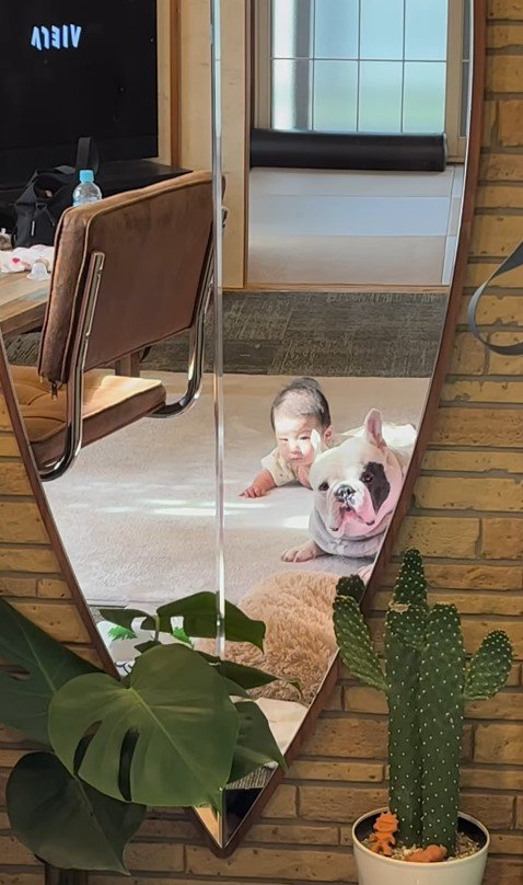 こぶし君と赤ちゃん9