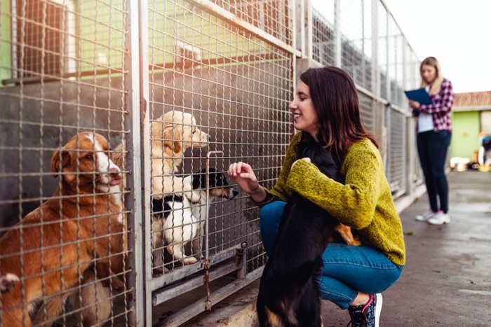 シェルターで網越しに犬を見る女性