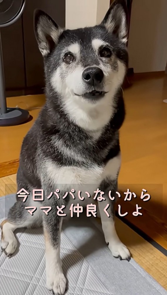 ママの話を聞くこうめちゃん