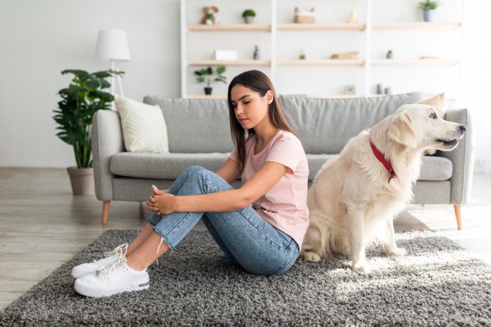 背を向き合う犬と女性