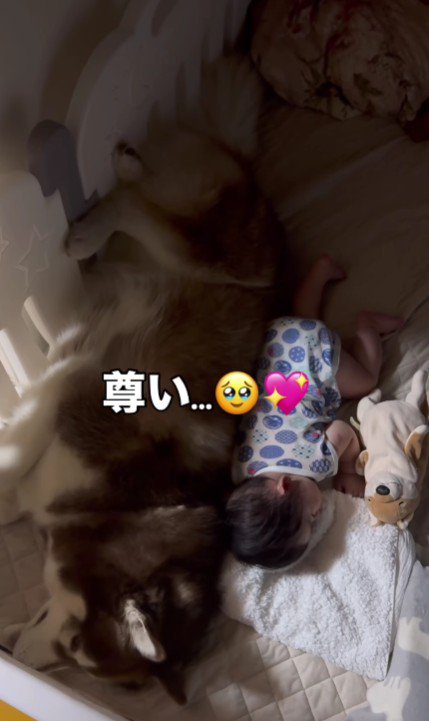 ずっと見ていたい…