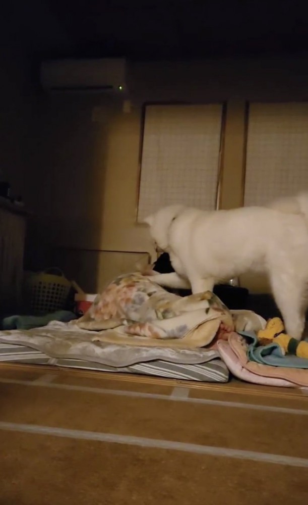 端によって