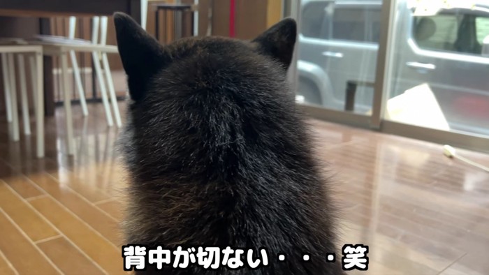 寂しそうな背中が切ない…