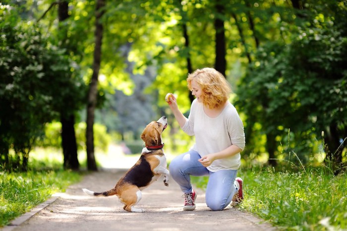 森の中で遊ぶ飼い主と犬