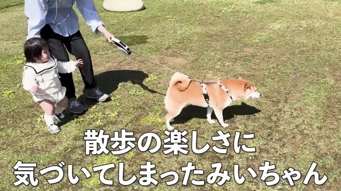 お散歩にハマっちゃった！？