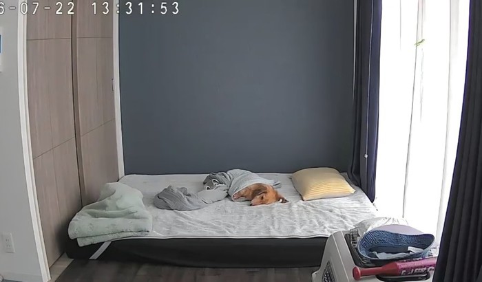 別日