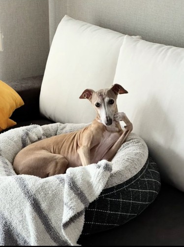 「いつでも寄って？」