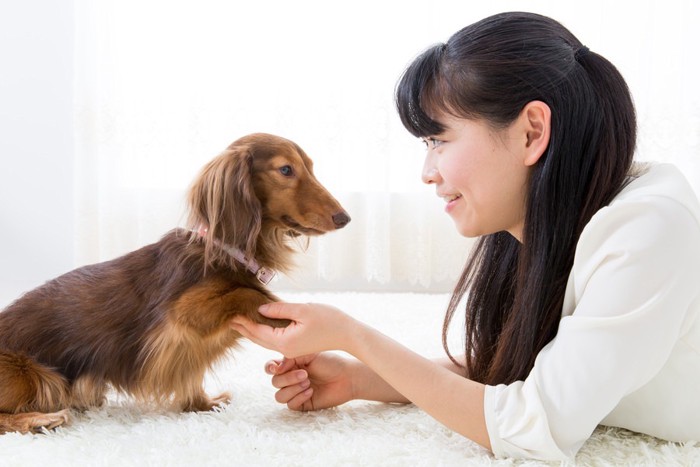 犬と握手をしている女性