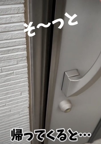 ママが帰ってきました