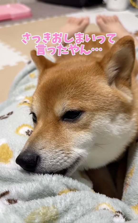 また拗ねるはなちゃん
