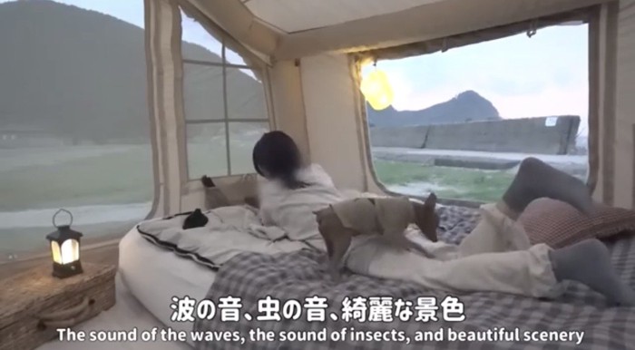 ベッドでくつろぐ犬と人