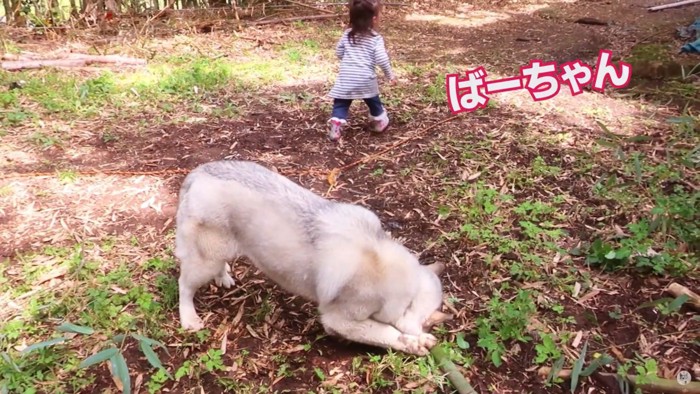 竹をくわえる犬と去る子どもの後姿