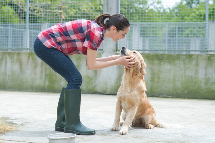 シェルターで働く女性と犬