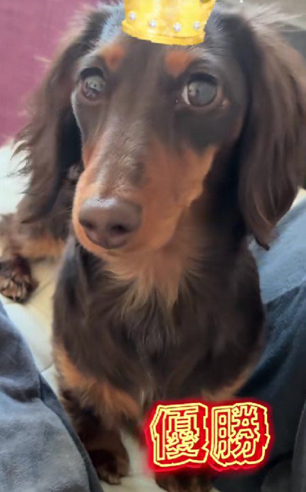 そんなエミリーちゃんがかわいい♡