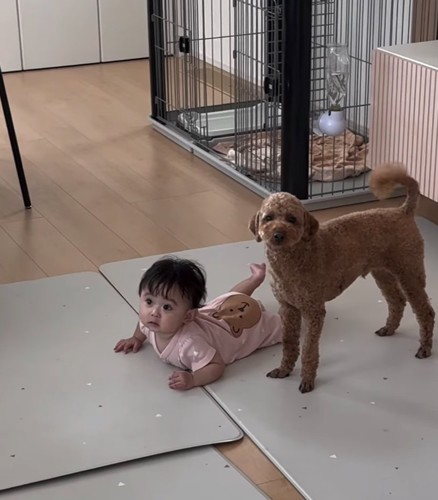 プー太くんと子ども