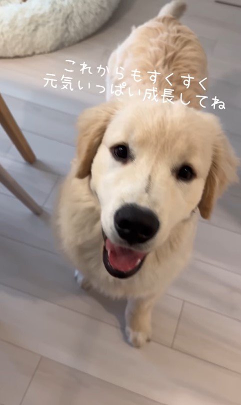 ぴの君の成長8
